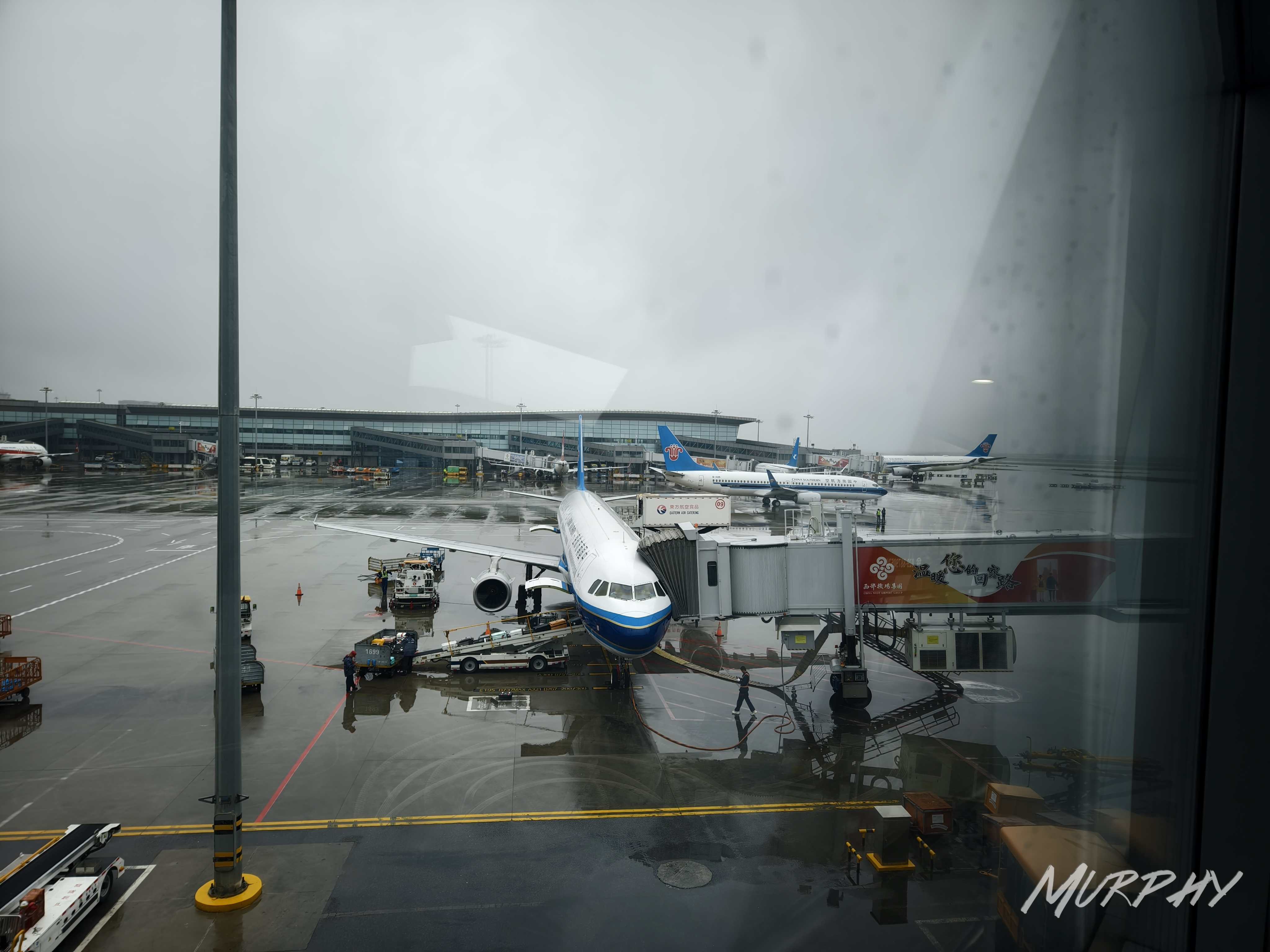 IMG_20240708_110536