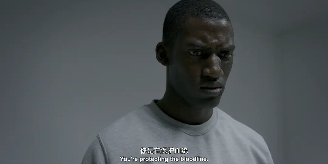 《人与武器的对抗》