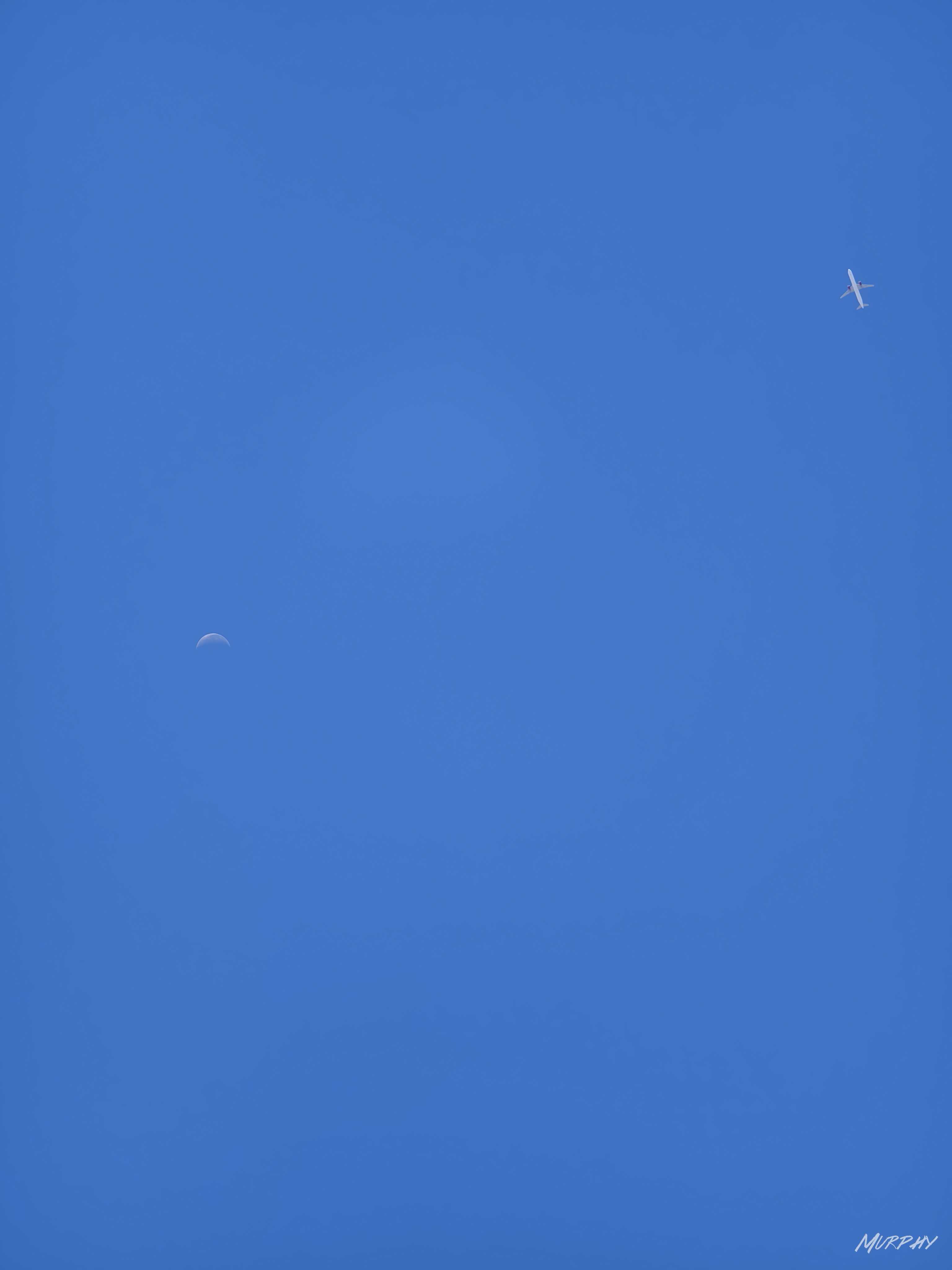 IMG_20240730_091801