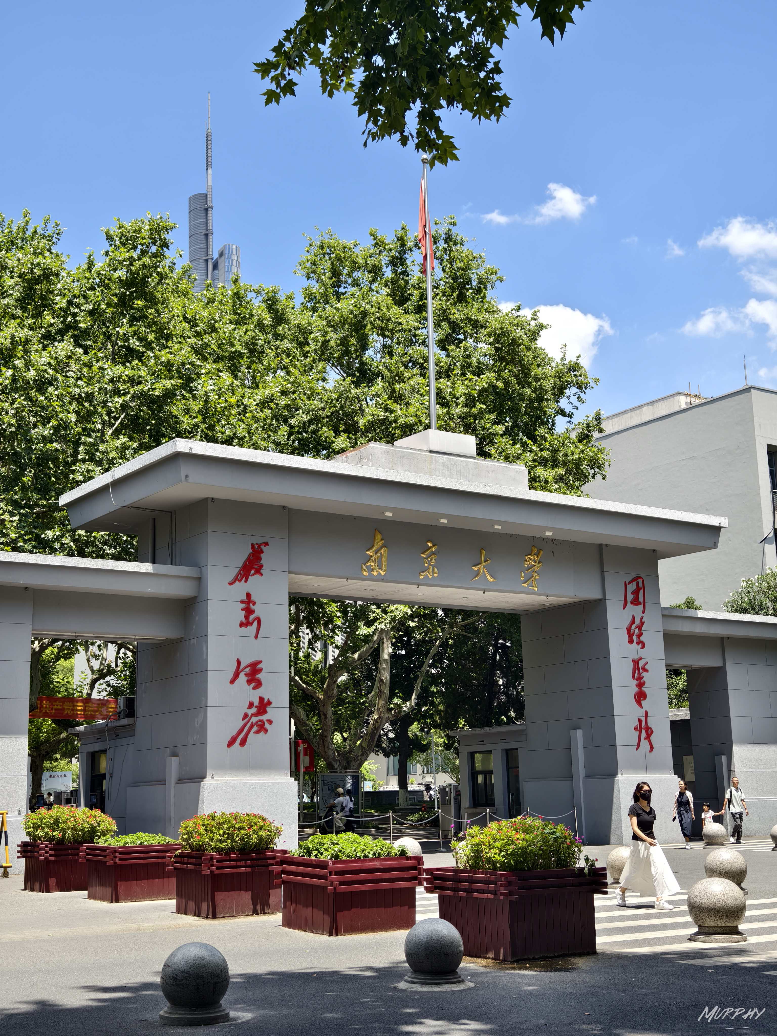 IMG_YD