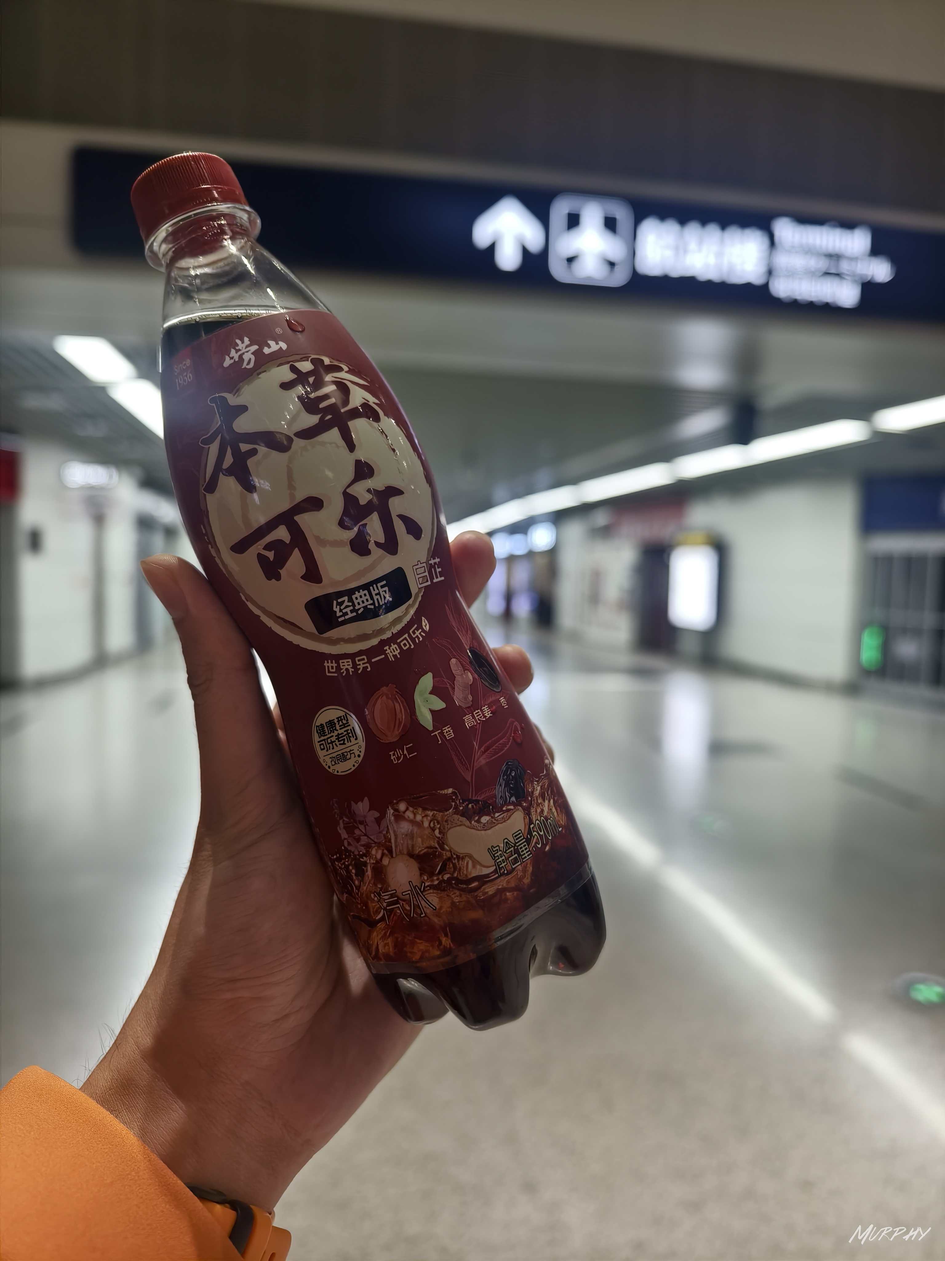 青岛之行2025